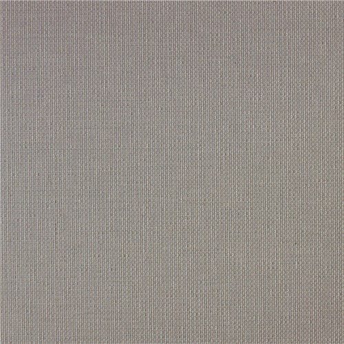 Edge_Ammonite_Front_LR